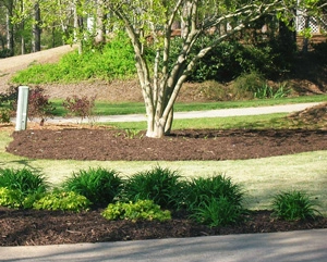 Acworth lawn care and landscaping