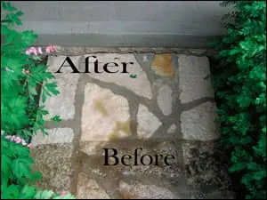 Photo of sidewalk before and after pressure washing services by Bruno The Yard Man